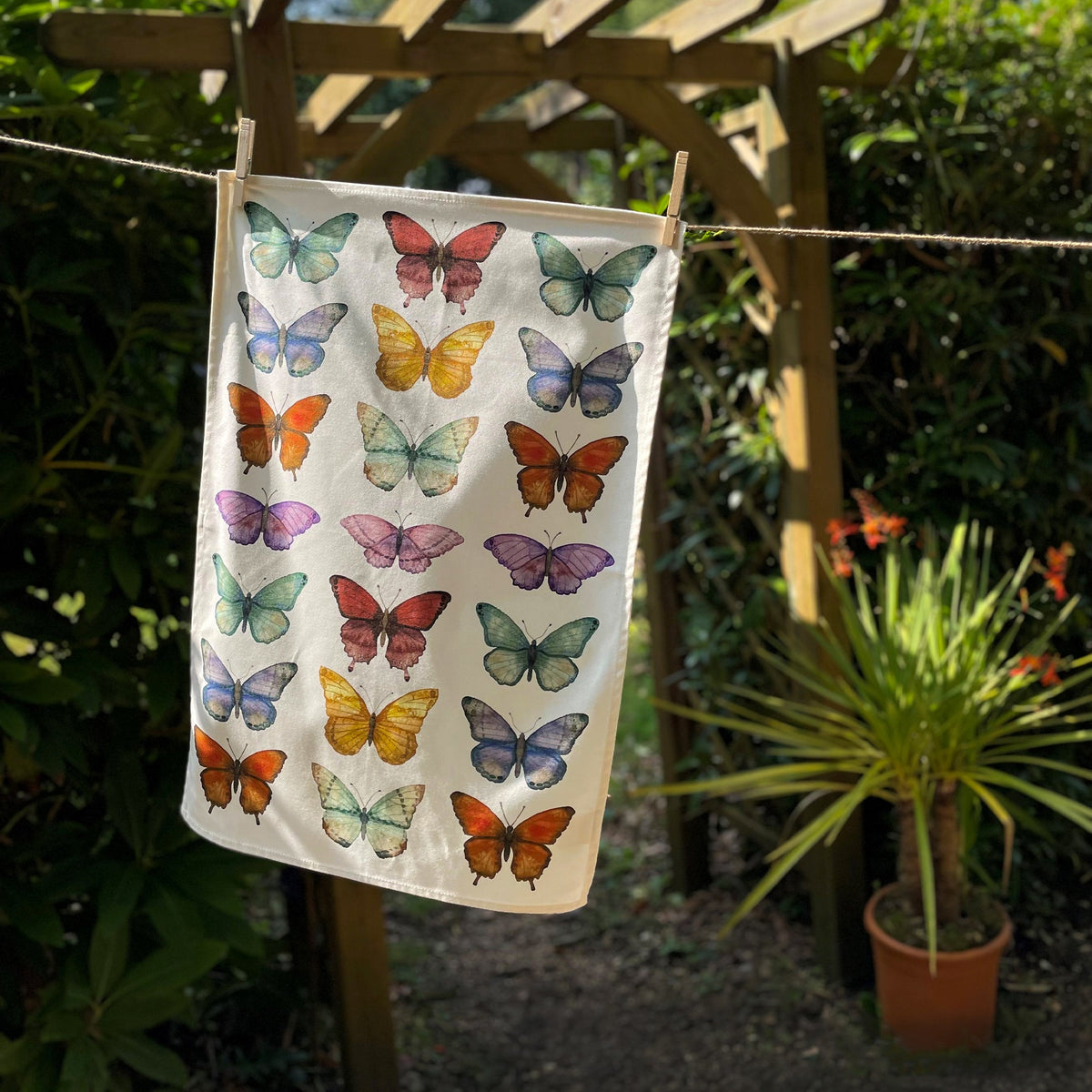 Butterfly Collection