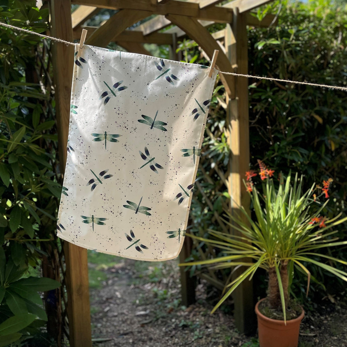 Dragonfly Collection
